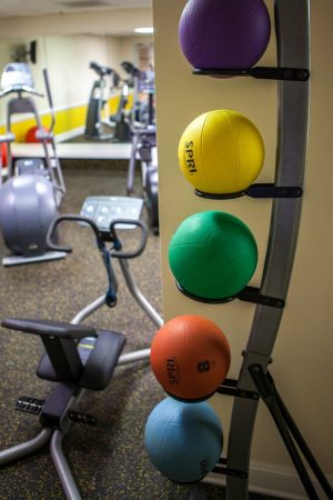 A fitness room that has a blue, red, green, yellow and purple weighted balls sit on a shelf. A few different work out machines sit in the background.