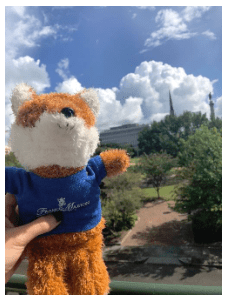 A stuffed fox is being held and a park with green trees is in the background behind him.