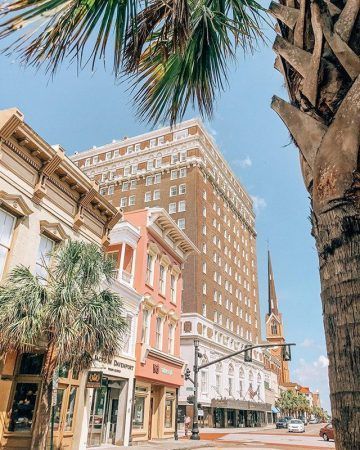 A street view of the hotel. Palm trees line the street and the hotel is beaming with sunshine. A pink, white and yellow building sit next to the hotel