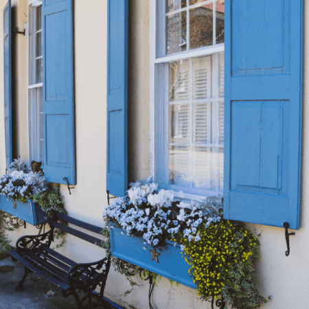 Close up of a historic house with blue shutters and windowboxes full of flowers billowing over with big white flowers and little yellow flowers. A park bench that is black sits in between the two windows.